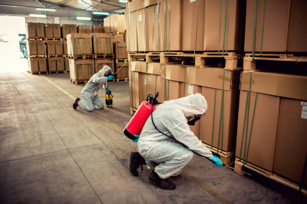 Best Mosquito Control Services  in New Mford, IL