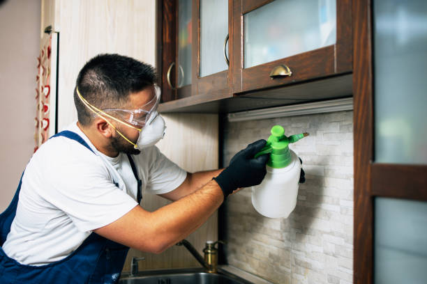 Wildlife Control Services in New Milford, IL