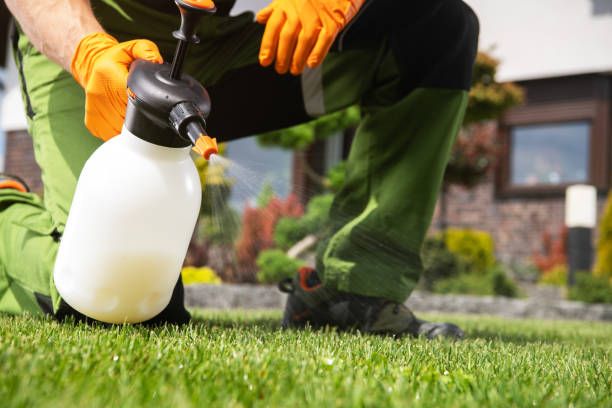 Best Spider Control Near Me  in New Mford, IL
