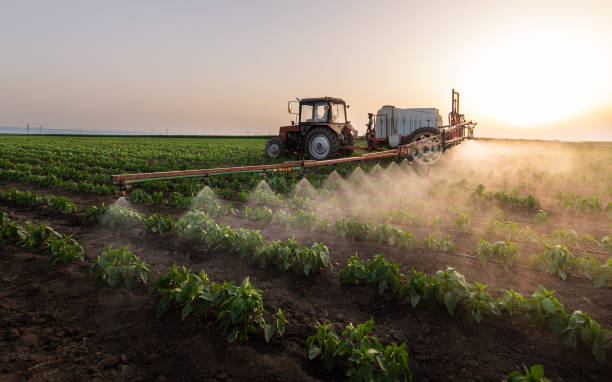 Best Pest Prevention Services  in New Mford, IL