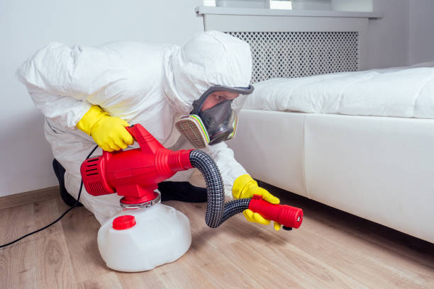 Best Wasp Removal Services  in New Mford, IL