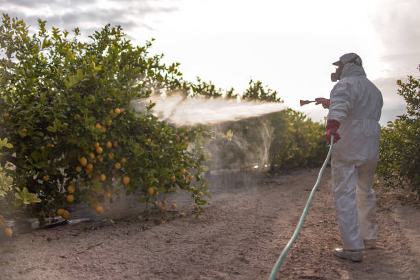Best Cockroach Control Services  in New Mford, IL