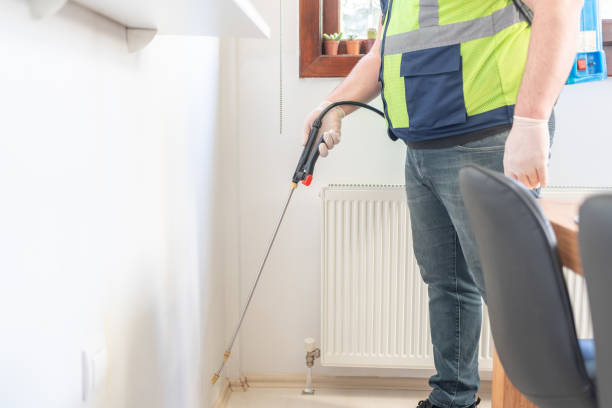 Best Wasp Removal Services  in New Mford, IL