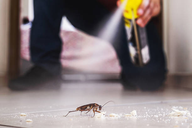 Best Residential Pest Control  in New Mford, IL