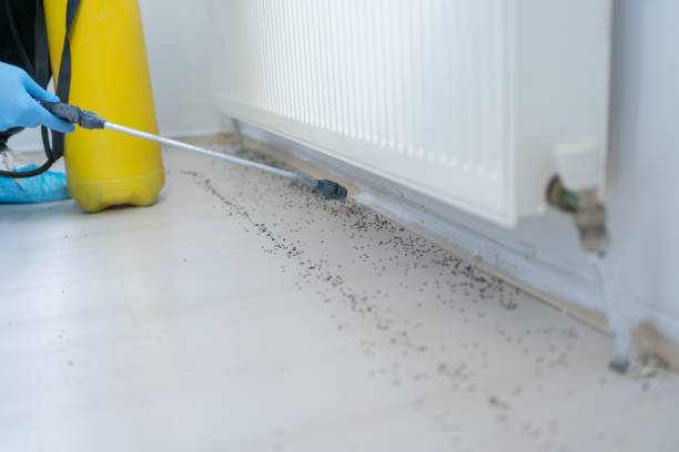 Professional Pest Control in New Milford, IL